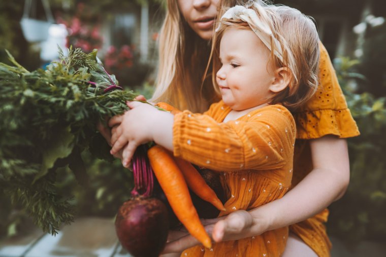 Family mother and child girl with organic vegetables healthy eating lifestyle vegan food homegrown carrot and beetroot local farming grocery shopping agriculture concept