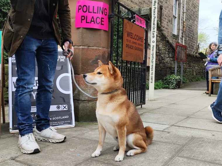 A dog named Obi-Wan Kenobi outside the St James Church polling station in Edinburgh as voters arrive to cast their votes in the 2026 Holyrood elections. Picture date: Thursday May 7, 2026. PA Photo. Photo credit should read: Nick Forbes/PA Wire