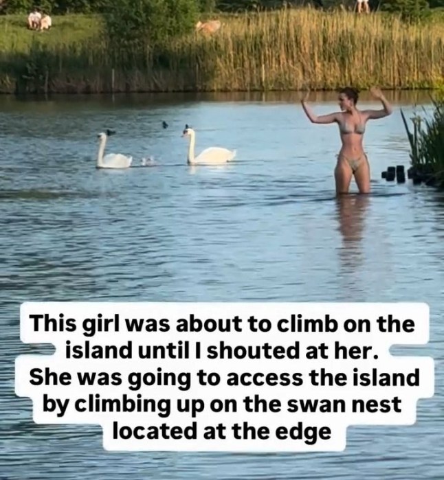 Uncl grabs - Fury as 'entitled' sunseekers invade Hampstead Heath's wildlife ponds during heatwave: Hundreds of revellers swim, play games and even bring their dogs into bird haven during nesting season