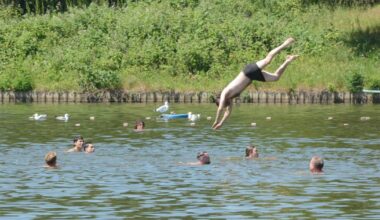 Crowds splash at Hampstead Heath ponds during swan nesting season | News UK