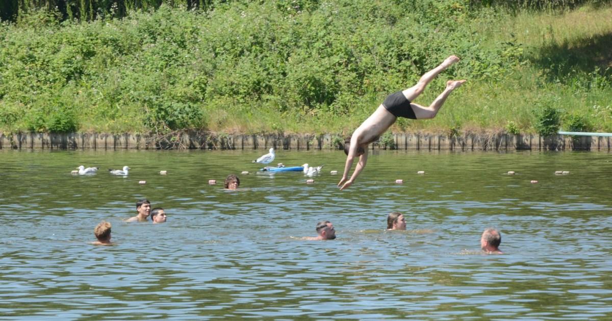 Crowds splash at Hampstead Heath ponds during swan nesting season | News UK