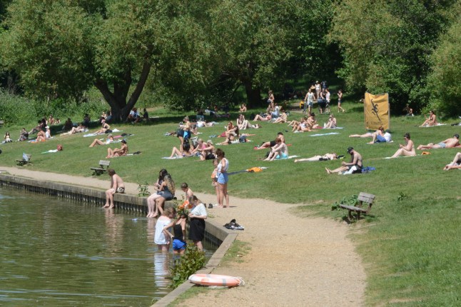 People basking in the sun at Hampstead Heath, London.