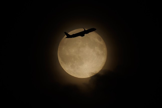 LONDON, ENGLAND - OCTOBER 07: A plane flies in front of the harvest moon on October 7, 2025 in London, England. The full harvest moon, is the first of three supermoons before the end of 2025. (Photo by Dan Kitwood/Getty Images)