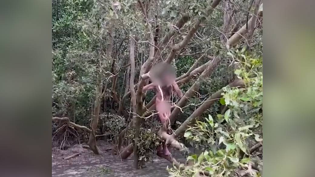 Click to play video: 'Boaters save naked fugitive from ‘crocodile infested’ waters in Australia'