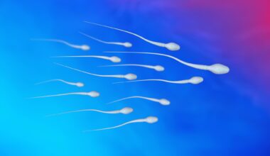 Spermatozoa Sperm Cells