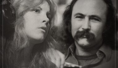 The singer David Crosby said Stevie Nicks could only dream of being