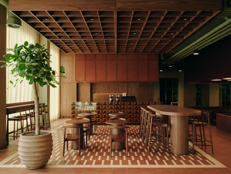Modern cafe interior with wooden furniture, a large potted plant, grid ceiling, brick-patterned floor, and a counter in the background. The space is empty and well-lit.