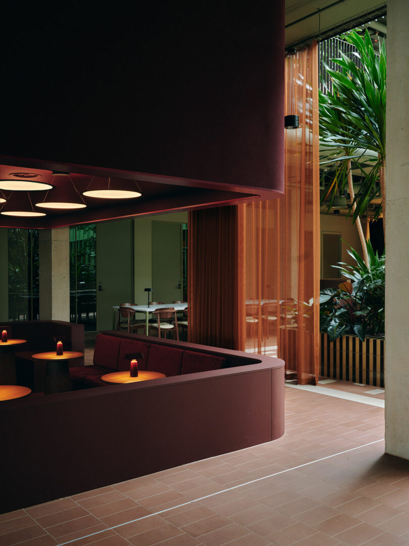 A modern indoor seating area with maroon furniture, circular tables with small lamps, terracotta floor tiles, orange sheer curtains, and lush green plants.