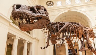 Scientists May Finally Know Why T. Rex Had Such Tiny Arms : ScienceAlert