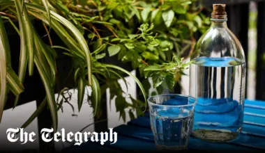 Tourists not entitled to free tap water, Italian court rules