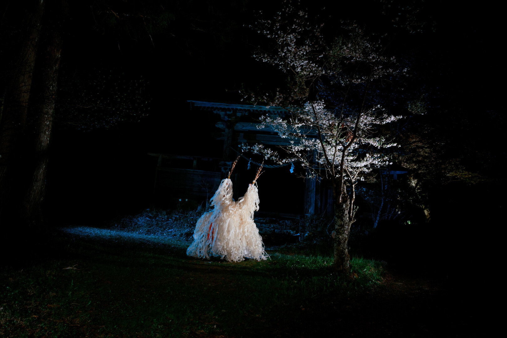 A lone, white-shredded ceremonial costume stands upright in a dark field at night next to a small flowering tree, lit by a sharp spotlight against a black background.