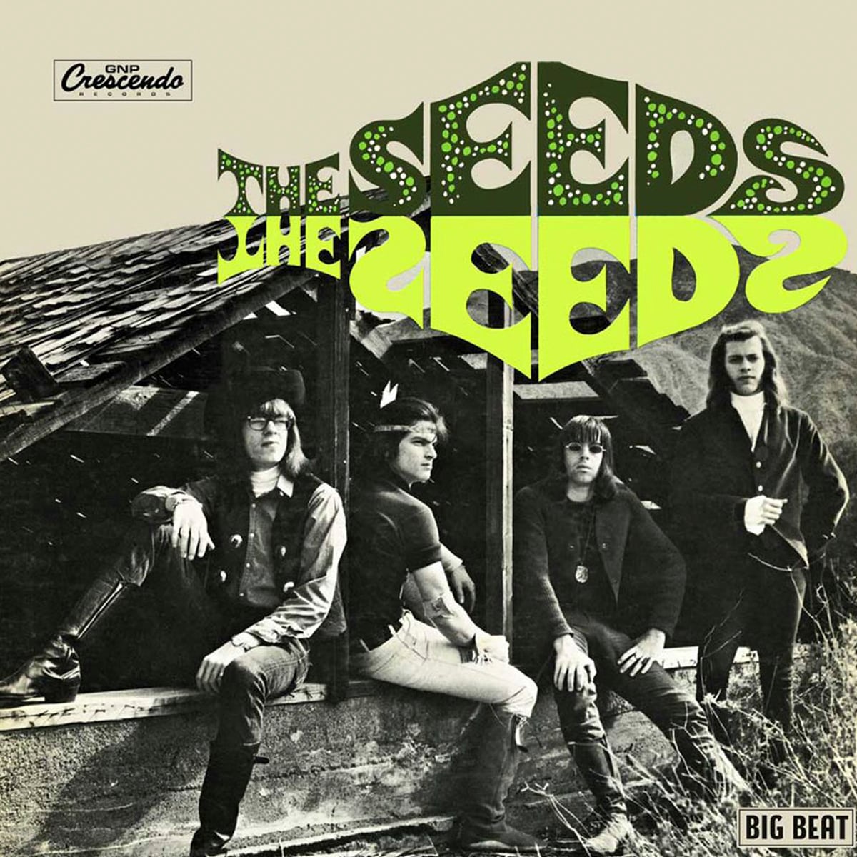 The Seeds - The Seeds - 1966