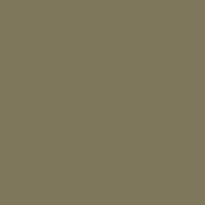 olive green paint swatch