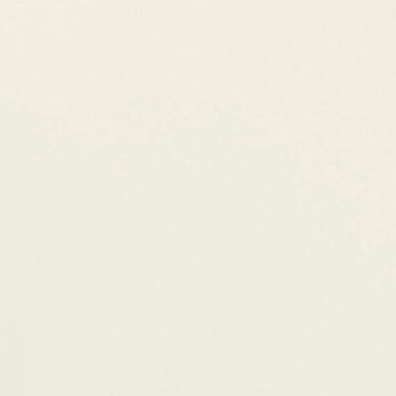 warm white paint swatch
