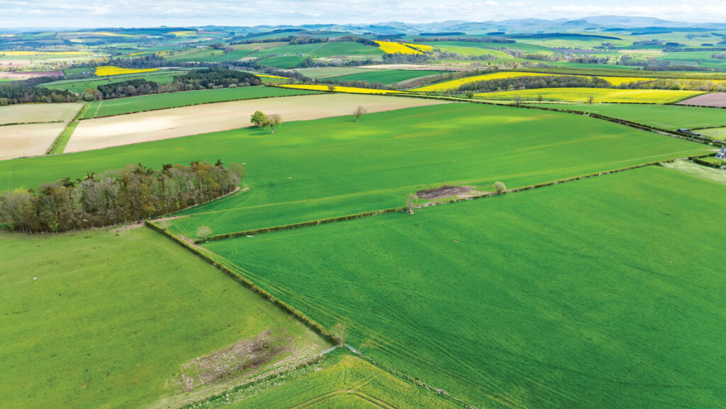 Wester Ulston