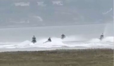 Concerns for seals at Pegwell Bay, near Ramsgate, after ‘worrying footage’ of jet skiers