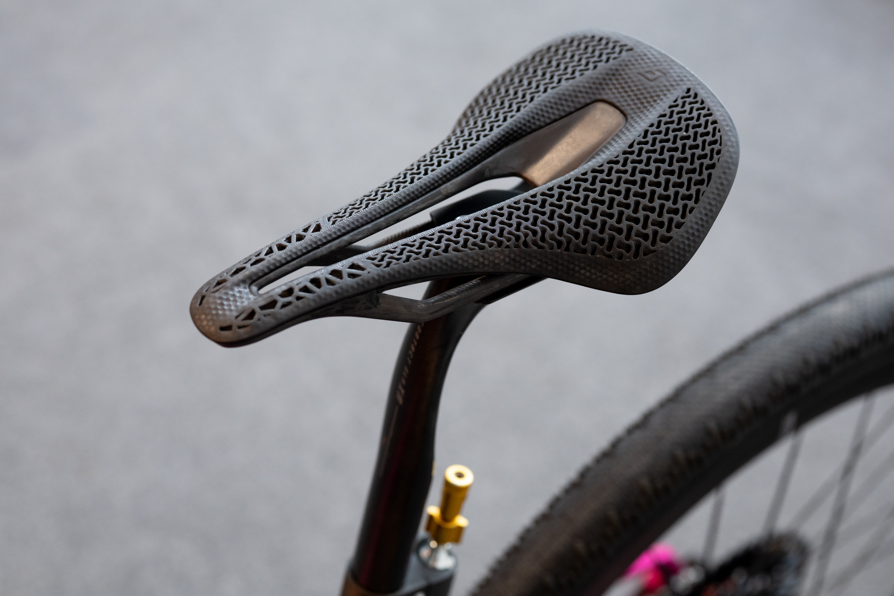 closeup of the saddle