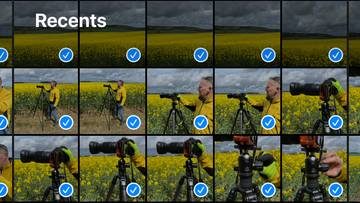 Many images of yellow fields in iPhone camera role with blue ticks