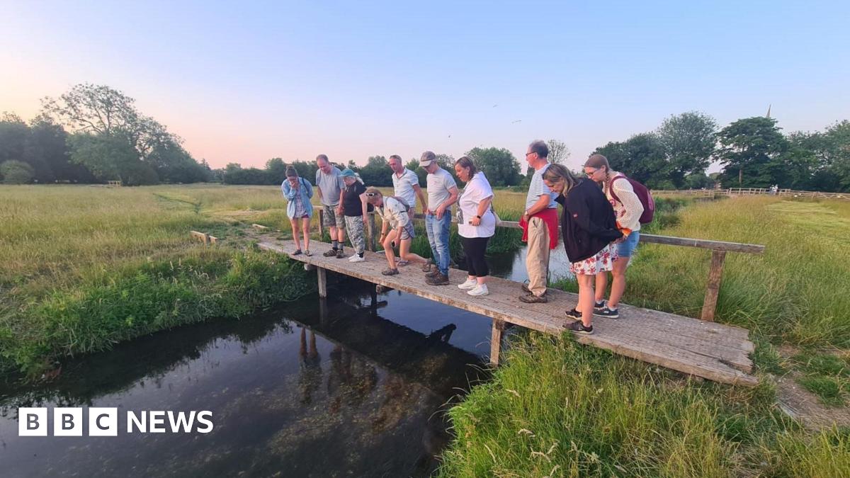 A group of about a dozen people standing on a small wooden bridge over a canal looking at what's in the water. The bridge goes between two grassy fields. It appears to be around dusk, with a gold light shining on the ground.