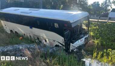 A white and black bus sits on greenery on the side of a road after a crash.