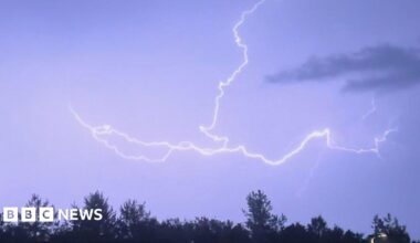 A picture of lightning in the sky. There is a number of trees in front of it, with the lightning, white in colour, striking above.
