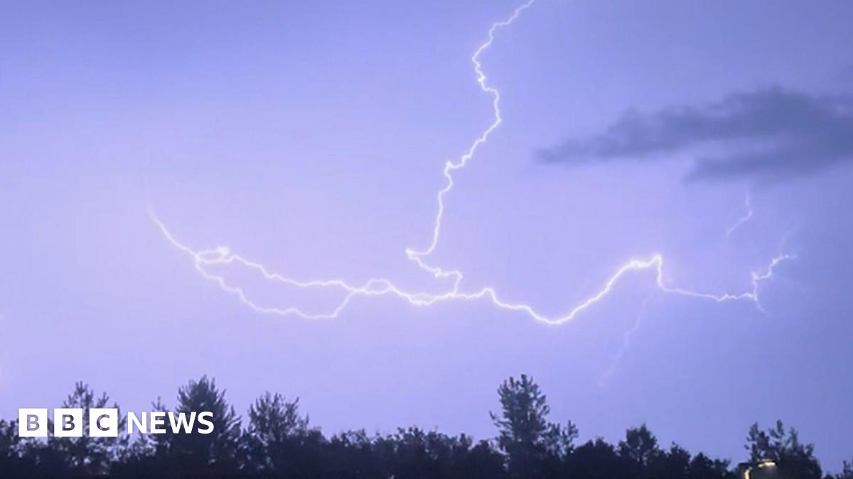 A picture of lightning in the sky. There is a number of trees in front of it, with the lightning, white in colour, striking above.