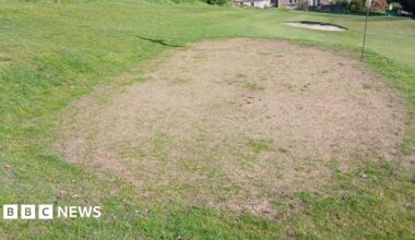 A patch of grass showing an area which is worn through to soil.