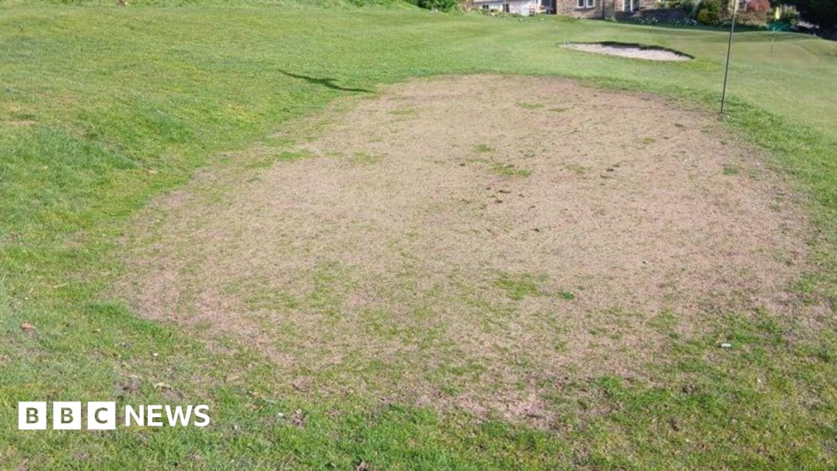 A patch of grass showing an area which is worn through to soil.