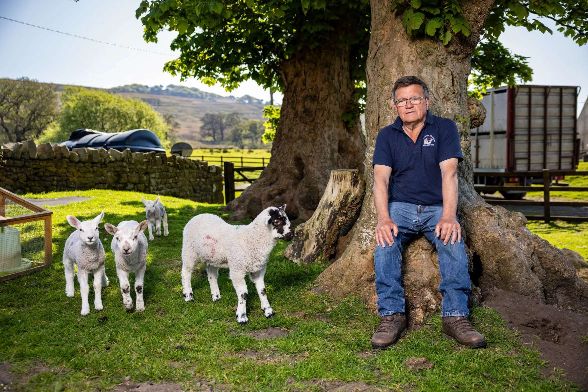 Rod Spence sits by a tree trunk on his farm with several lambs in the foreground and his oil tank in the background.