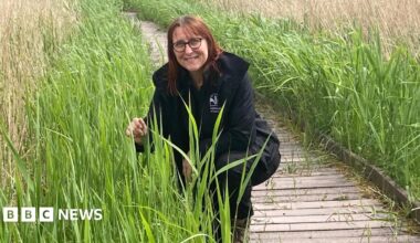 A woman wearing black trousers and a black jacket is crouched on a wooden pathway surrounded by reed beds. The woman smiles at the camera and is wearing glasses and has brown shoulder-length hair.