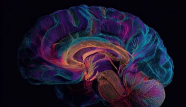 Neuroscience News logo for mobile.