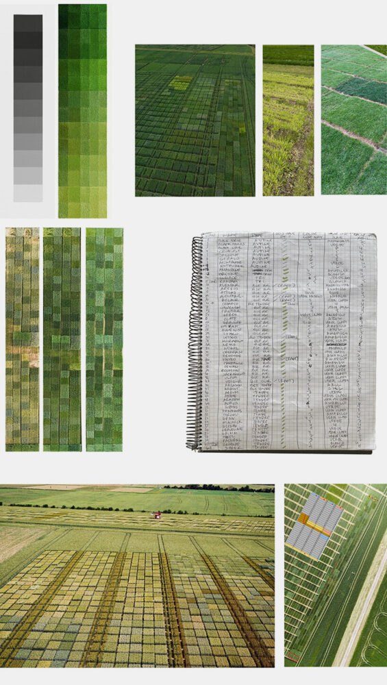 color research 2023-2025 INRAE fields and notes
