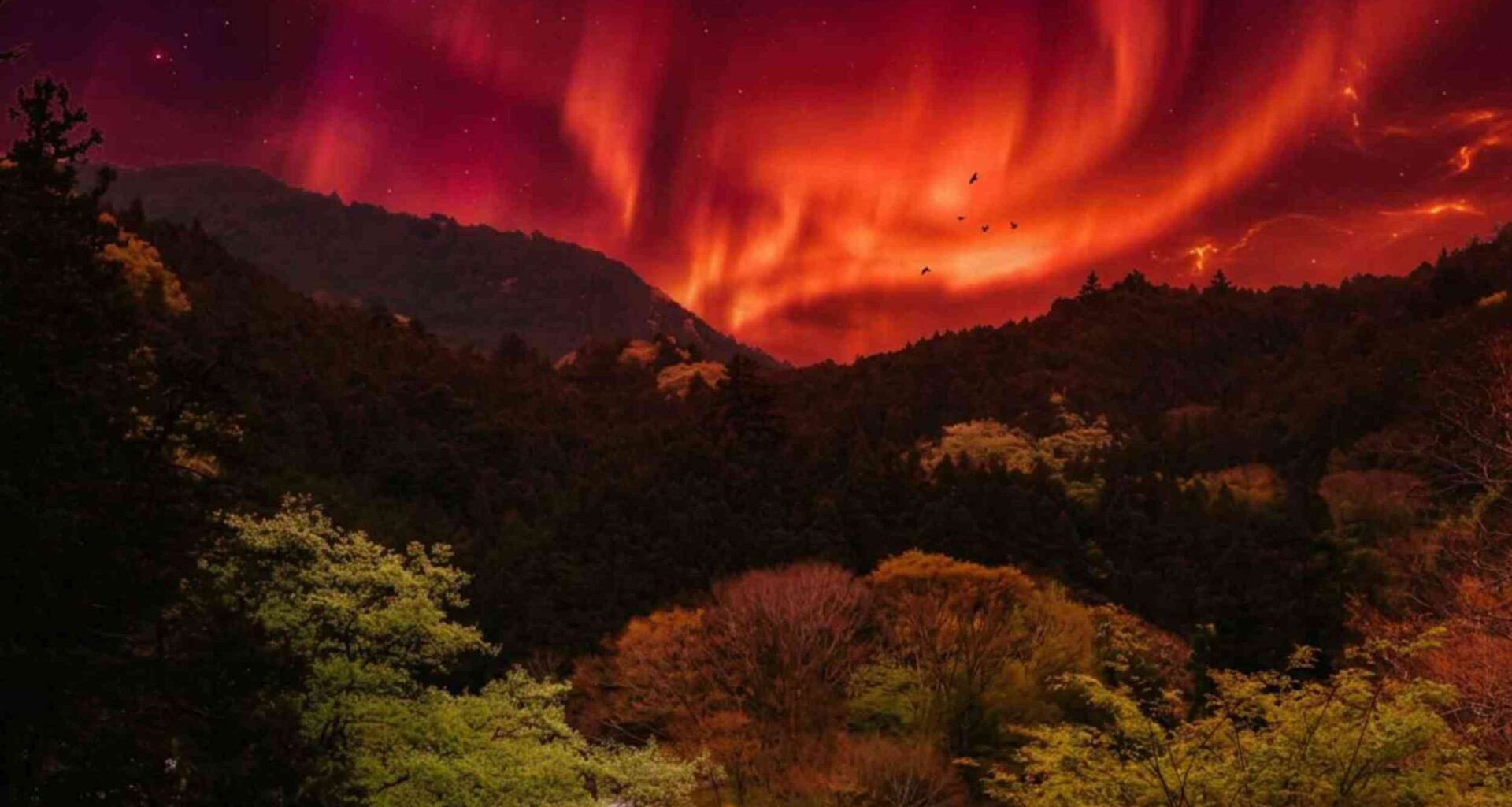 A red sky frightened medieval Japan, and buried trees now reveal the solar storm behind it