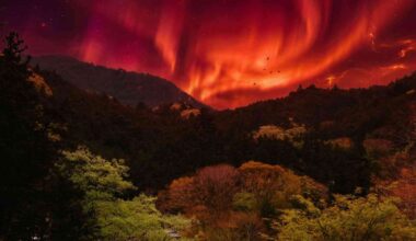 A red sky frightened medieval Japan, and buried trees now reveal the solar storm behind it