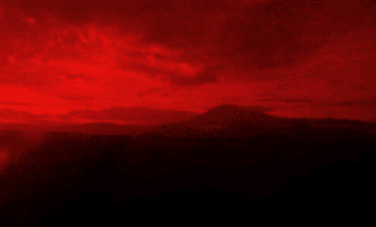 Ancient Trees Reveal A Massive Solar Storm That Turned Skies Blood Red 800 Years Ago