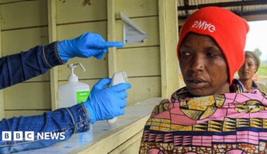 WHO to give update on hantavirus and Ebola after outbreaks