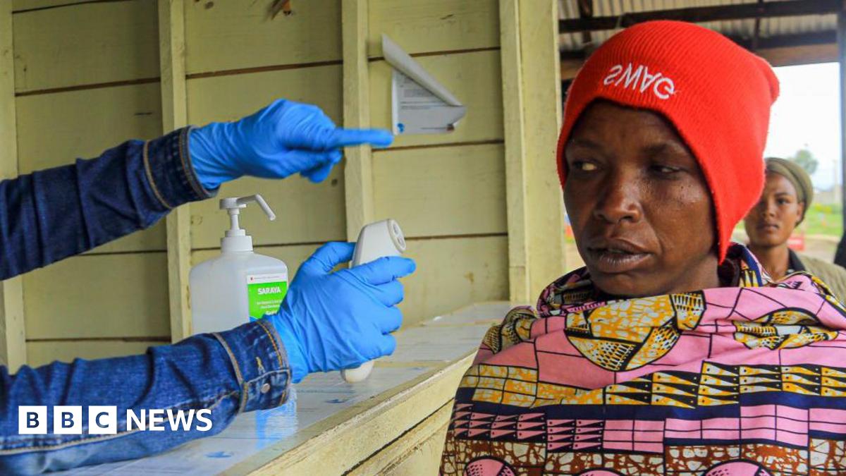 WHO to give update on hantavirus and Ebola after outbreaks