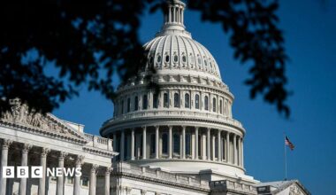 The outside of the US Capitol with a branch of a tree seen at the top of the image. An American flag is also waving in the background.