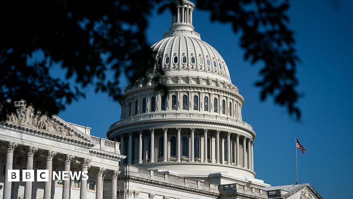 The outside of the US Capitol with a branch of a tree seen at the top of the image. An American flag is also waving in the background.