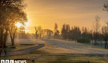 A general view picture of the golf course on a pleasant morning, with the sun rising behind trees on the left of the picture.