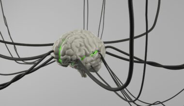 Meta-Cognitive Regulation Might Be the Most Important AI Skill Nobody Is Talking About