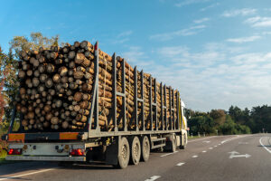 NZ$1.2 bn loan scheme opens biomass pathway