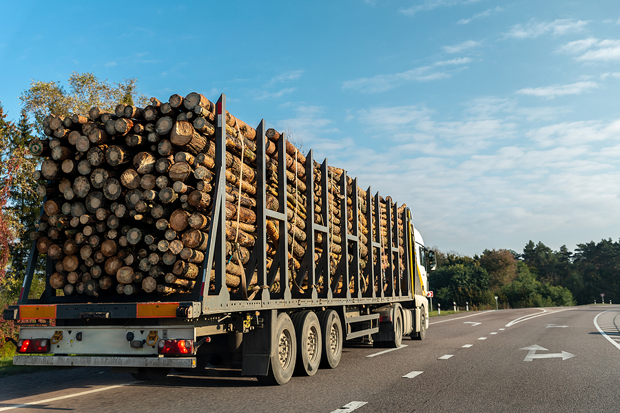 NZ$1.2 bn loan scheme opens biomass pathway