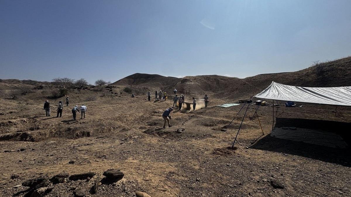 100,000-year-old Homo sapiens bones from Ethiopia may preserve earliest evidence of human cremation