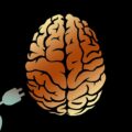 brain interface