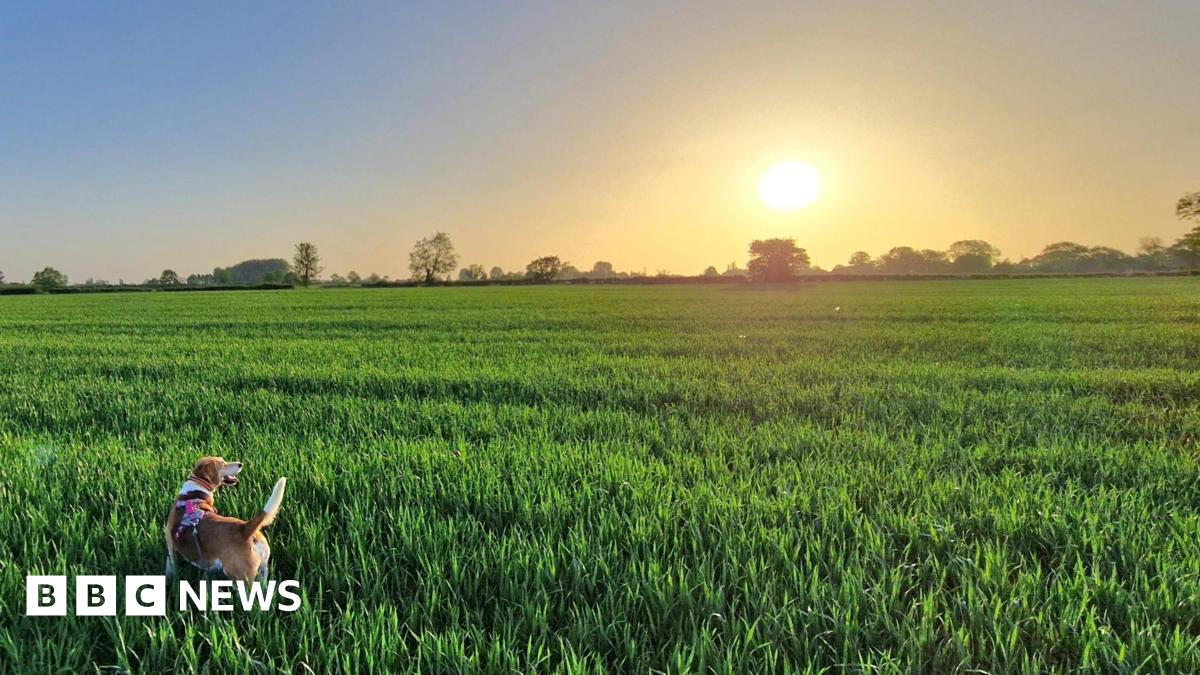 Record for hottest May night broken in UK, while daytime temperatures could hit 35C