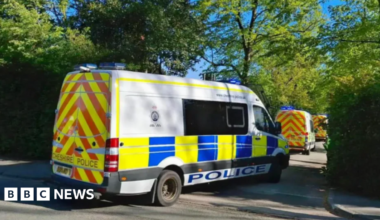 A row of white police vans with blue, yellow and red markings entering a gap in a high hedge