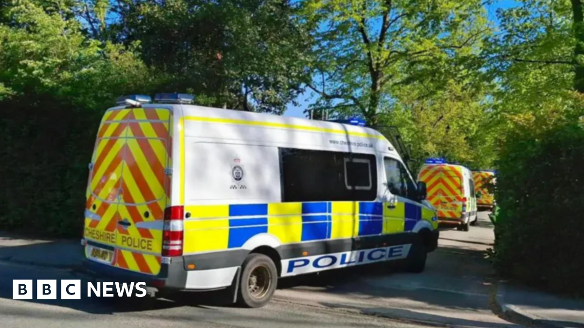 A row of white police vans with blue, yellow and red markings entering a gap in a high hedge