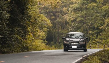 car on the road in countryside