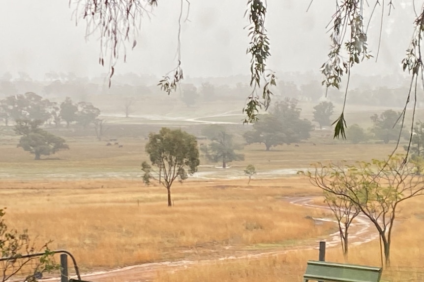 Steady rain over brown paddocks with water starting to pool.